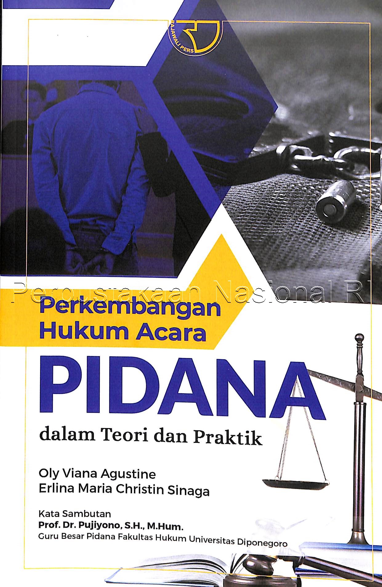 Cover Perkembangan Hukum Acara Pidana dalam Teori dan Praktik / Oly Viana Agustine, Erlina Maria Christin Sinaga